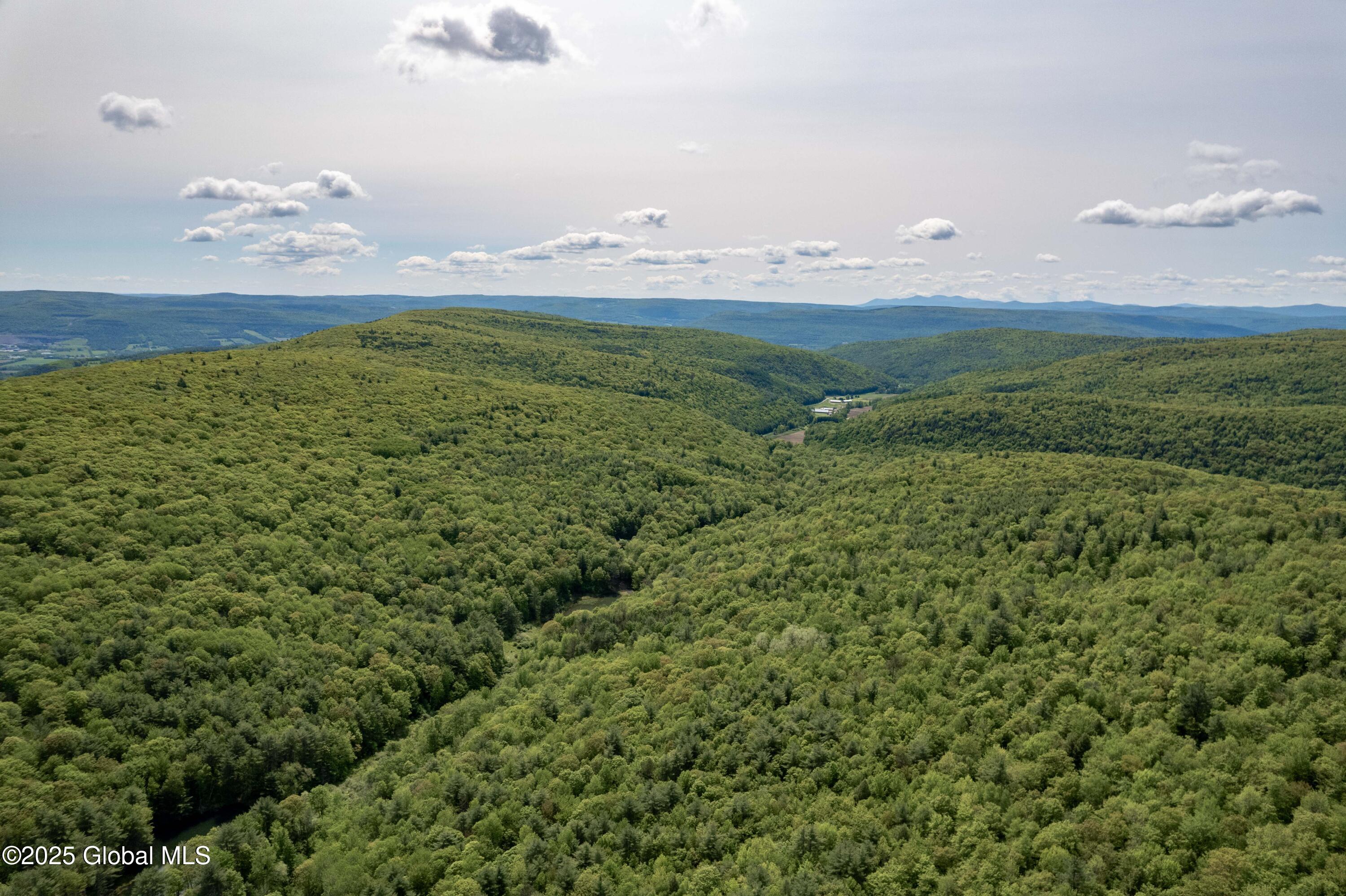 1219 Mill Valley Road, Middleburgh, New York image 33