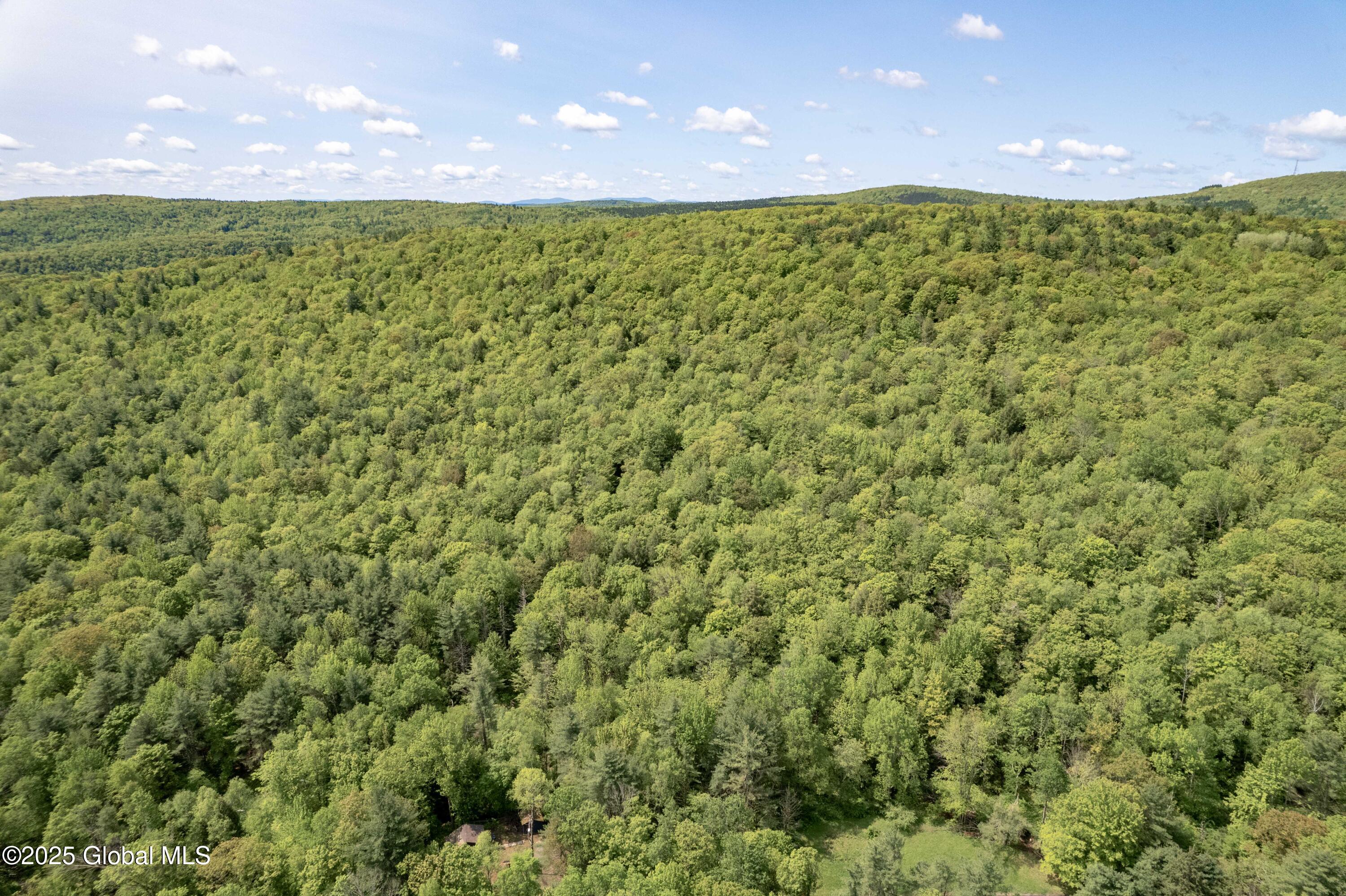 1219 Mill Valley Road, Middleburgh, New York image 28