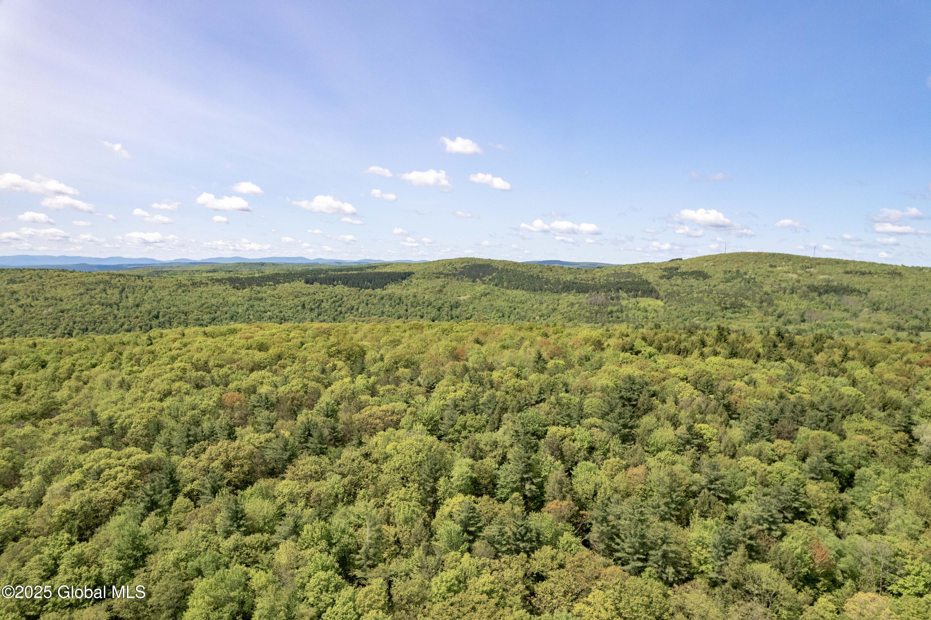 1219 Mill Valley Road, Middleburgh, New York image 30