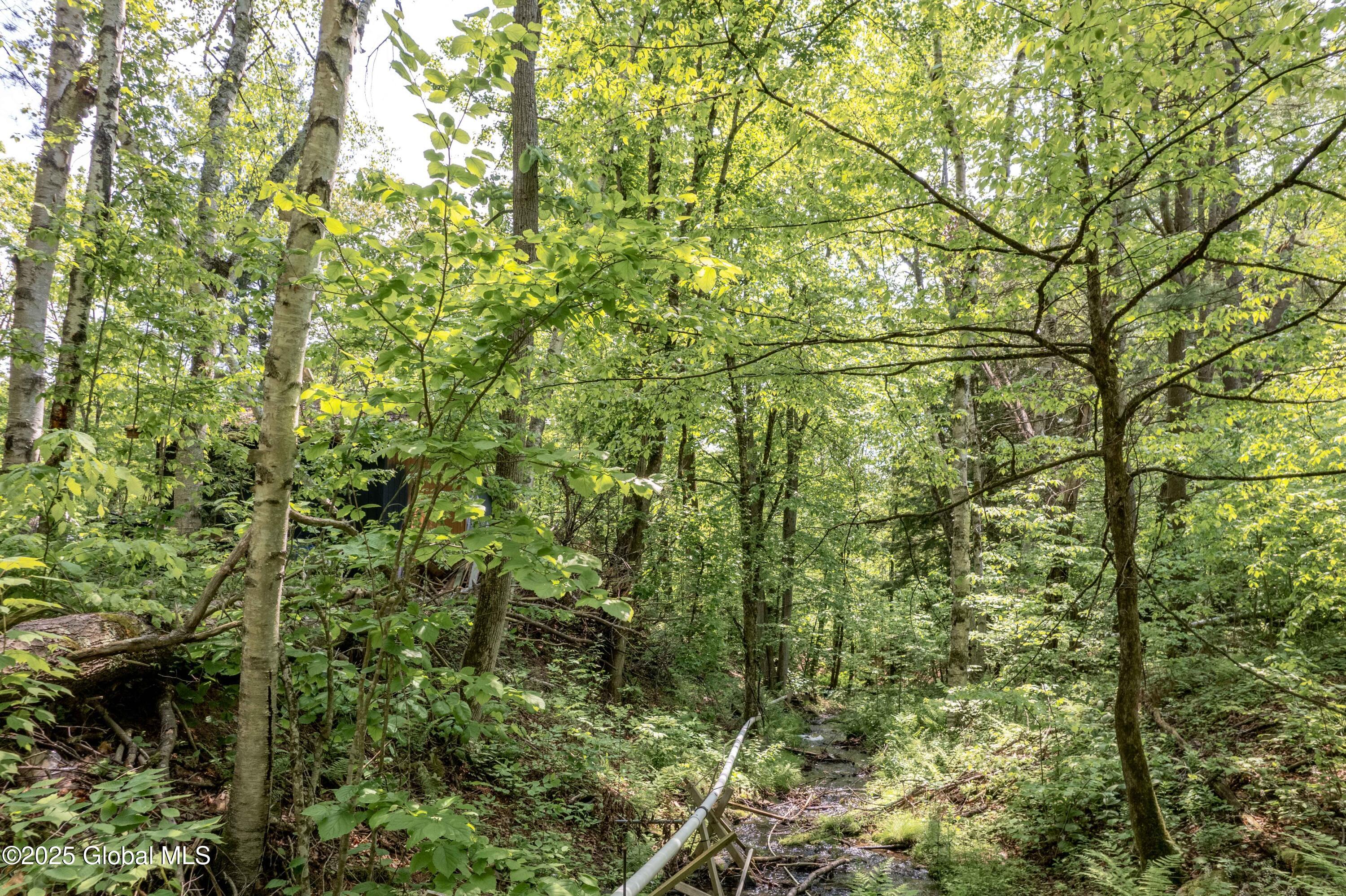 1219 Mill Valley Road, Middleburgh, New York image 19