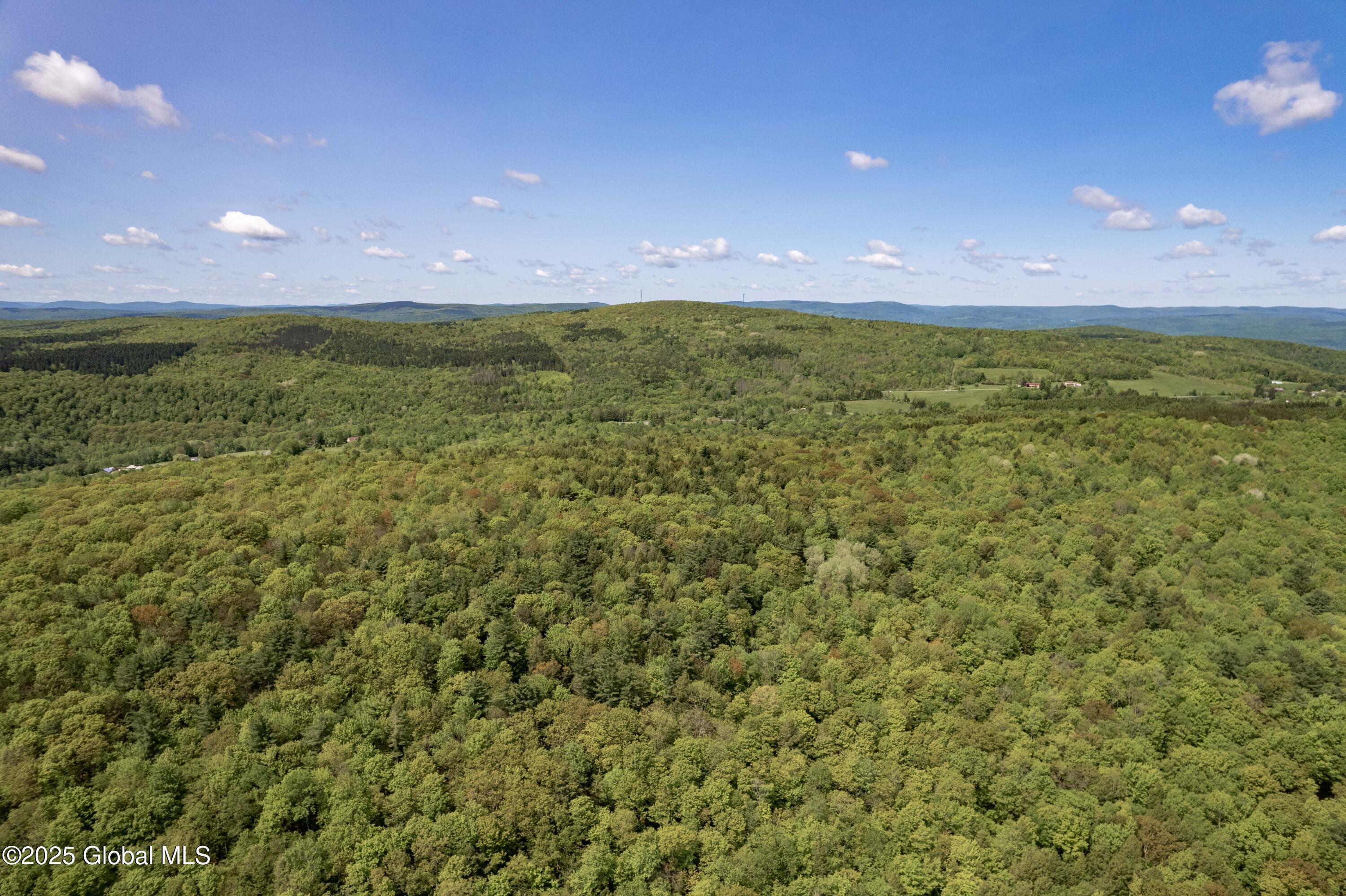 1219 Mill Valley Road, Middleburgh, New York image 32