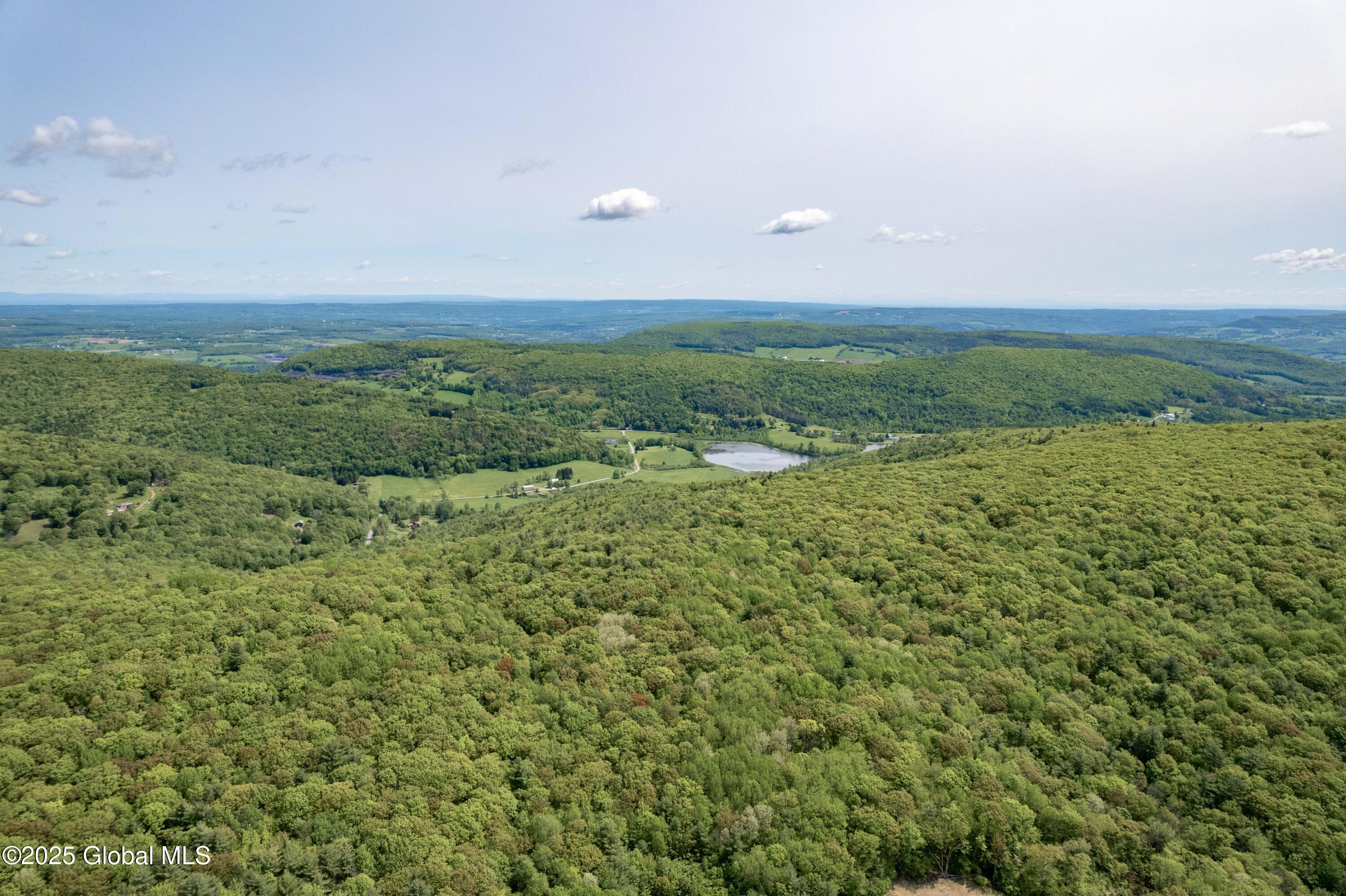 1219 Mill Valley Road, Middleburgh, New York image 31