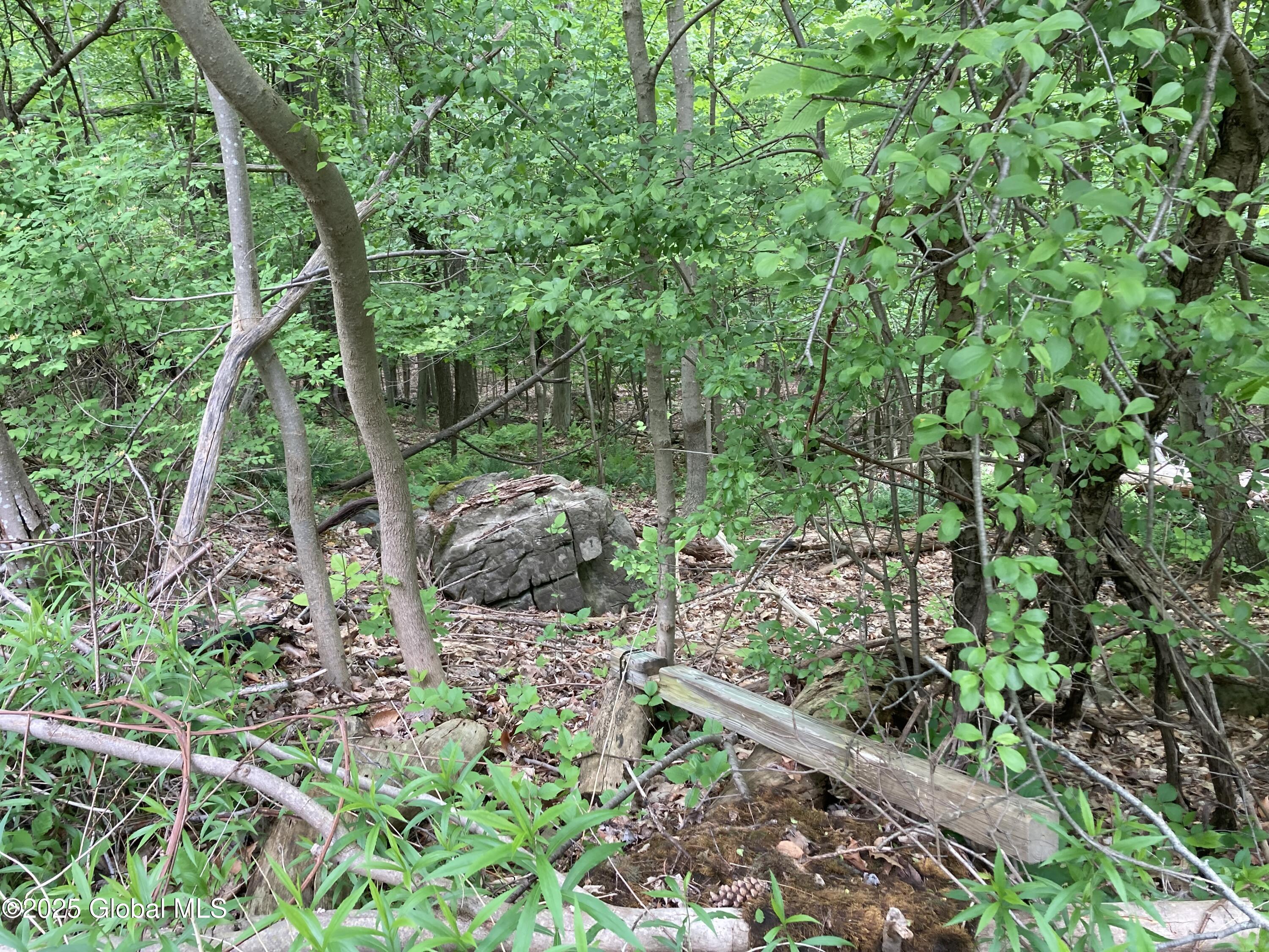 L3 Pine Springs Drive
