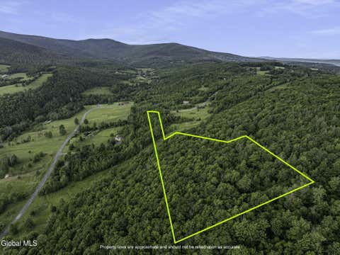 Vacant Land For Sale - L20.2 Overlook Drive<br/> Prattsville, NY 12452