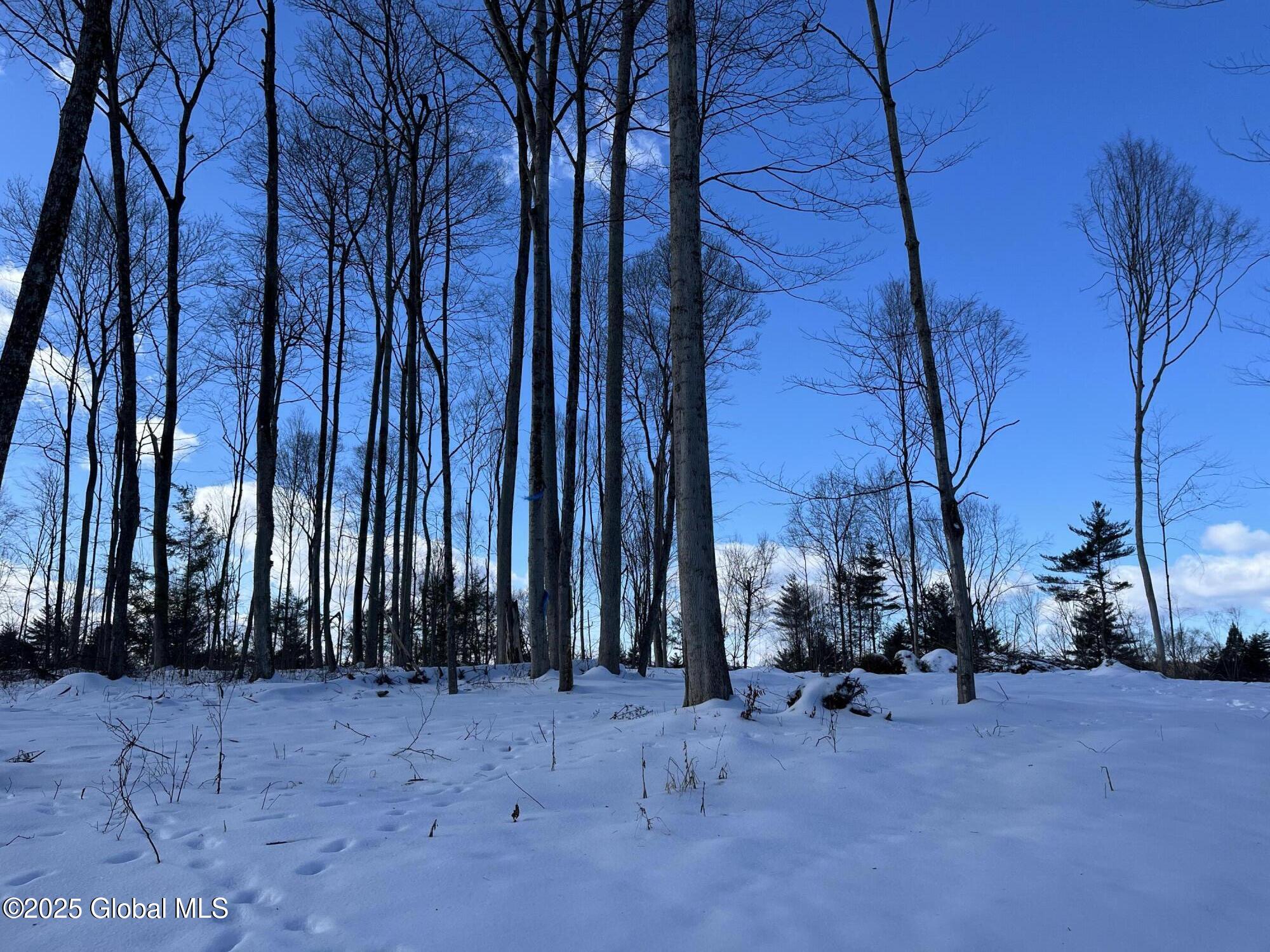 L4.1 Tripoli Road, Hudson Falls, New York image 2