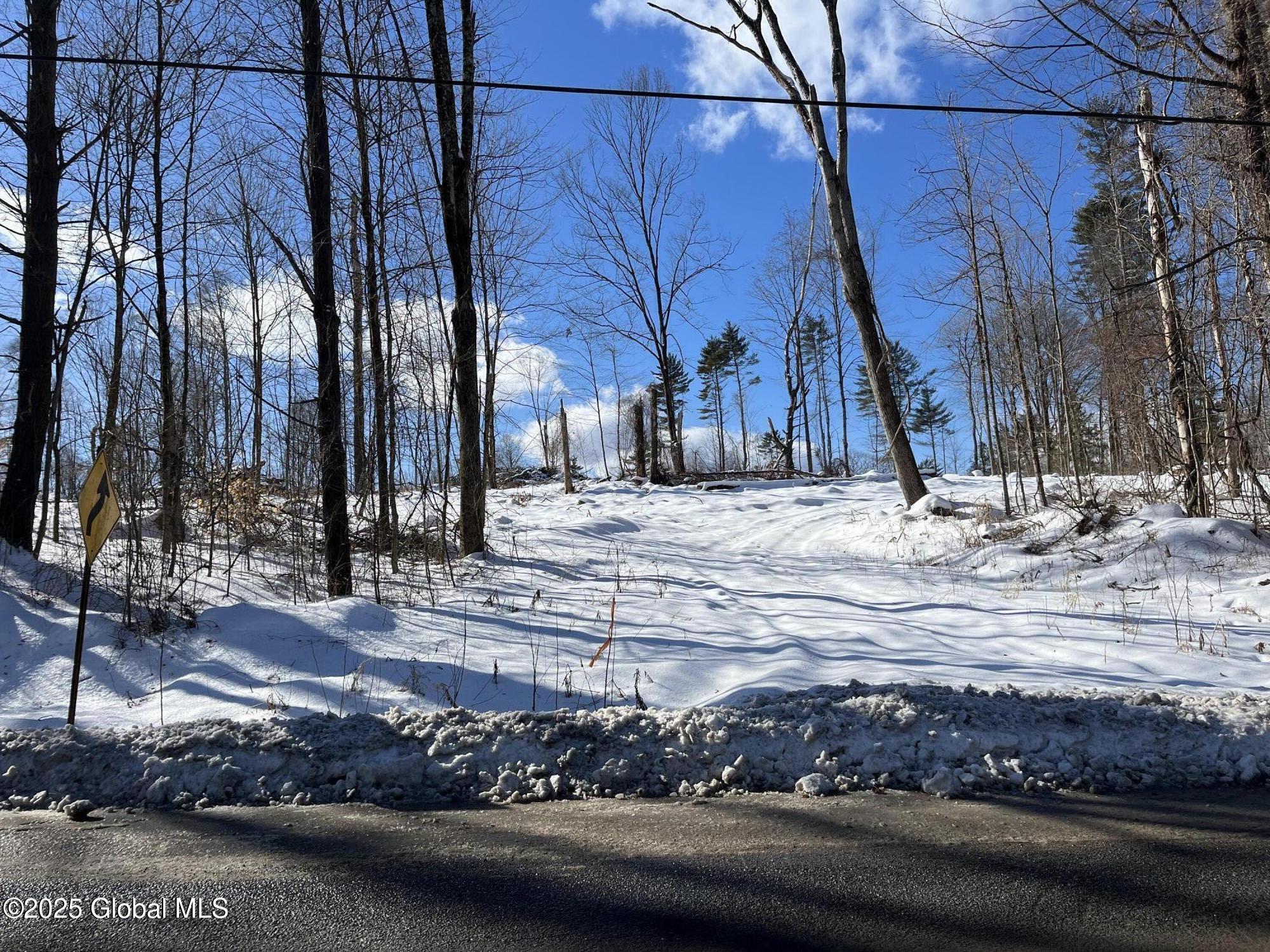 L4.1 Tripoli Road, Hudson Falls, New York image 28