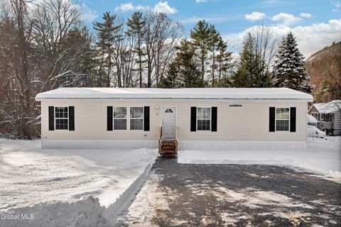 Homes For Sale - 51 West Mountain Road<br/> Corinth, NY 12822