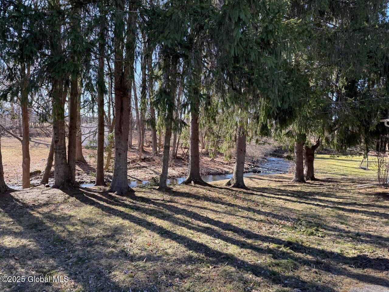 11293 Route 32, Greenville, New York image 37