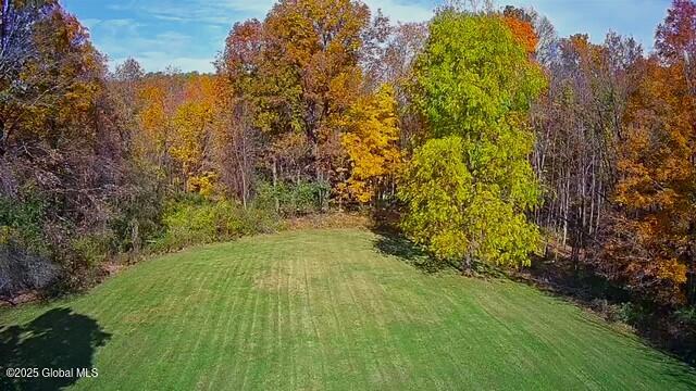 311 Cottrell Road, Greenwich, New York image 49