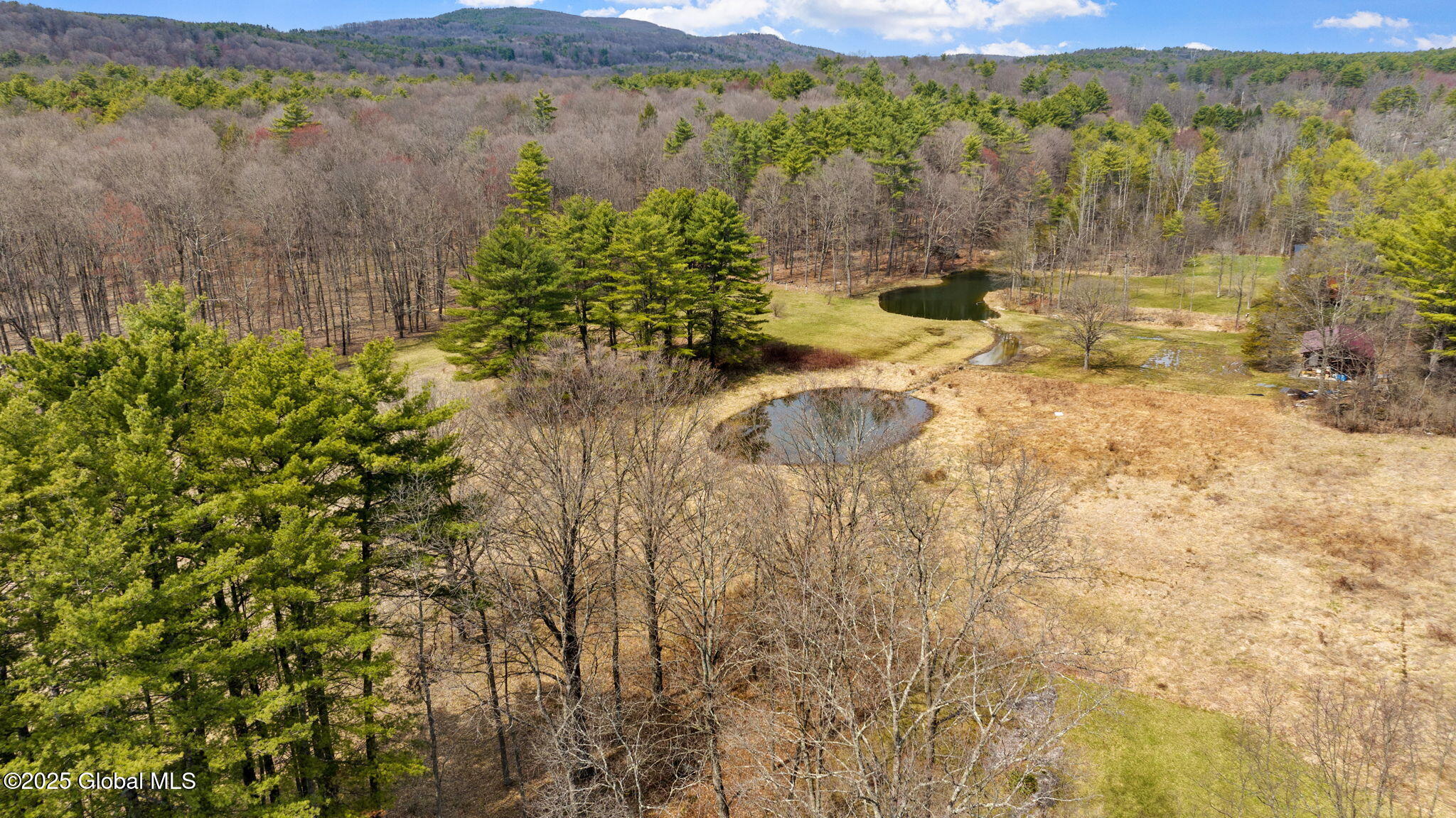293 Tompkins Road, Ravena, New York image 35