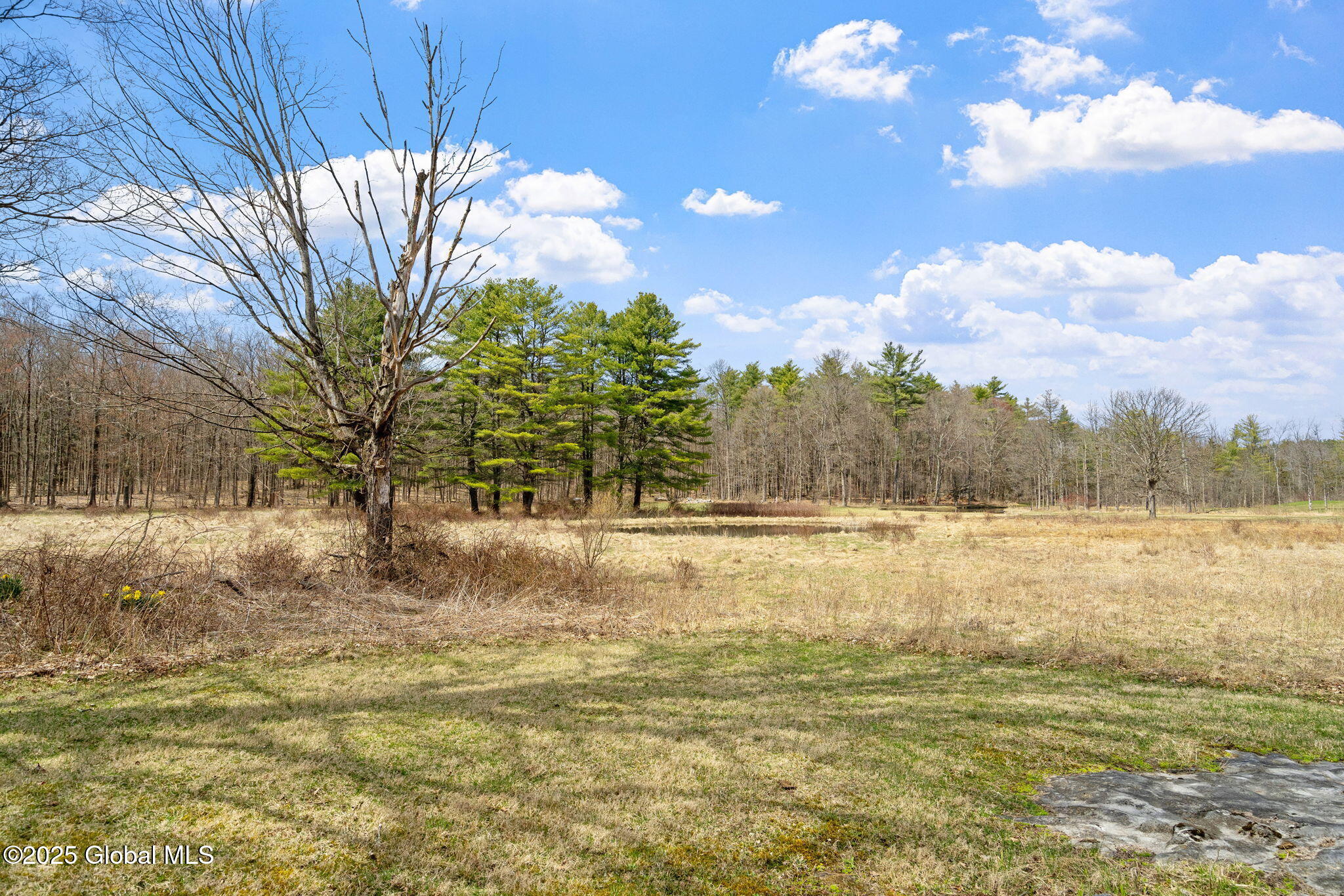 293 Tompkins Road, Ravena, New York image 44