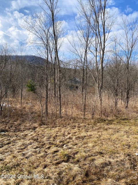 Photo of 890 Alt-Voorh Road, Altamont, NY 12009 (MLS # 202612055)