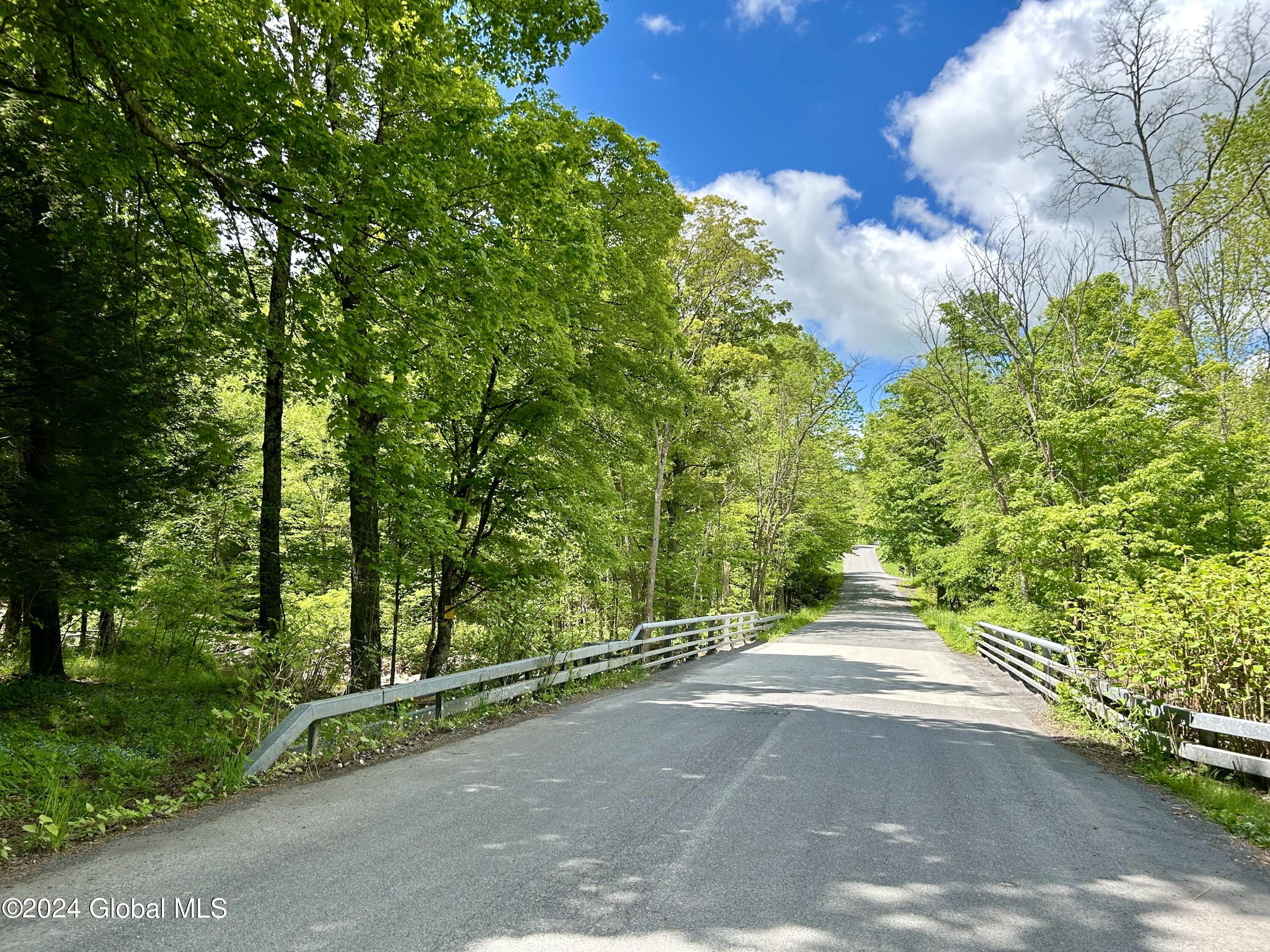 83 Mcculloch Cross Road, Medusa, New York image 42