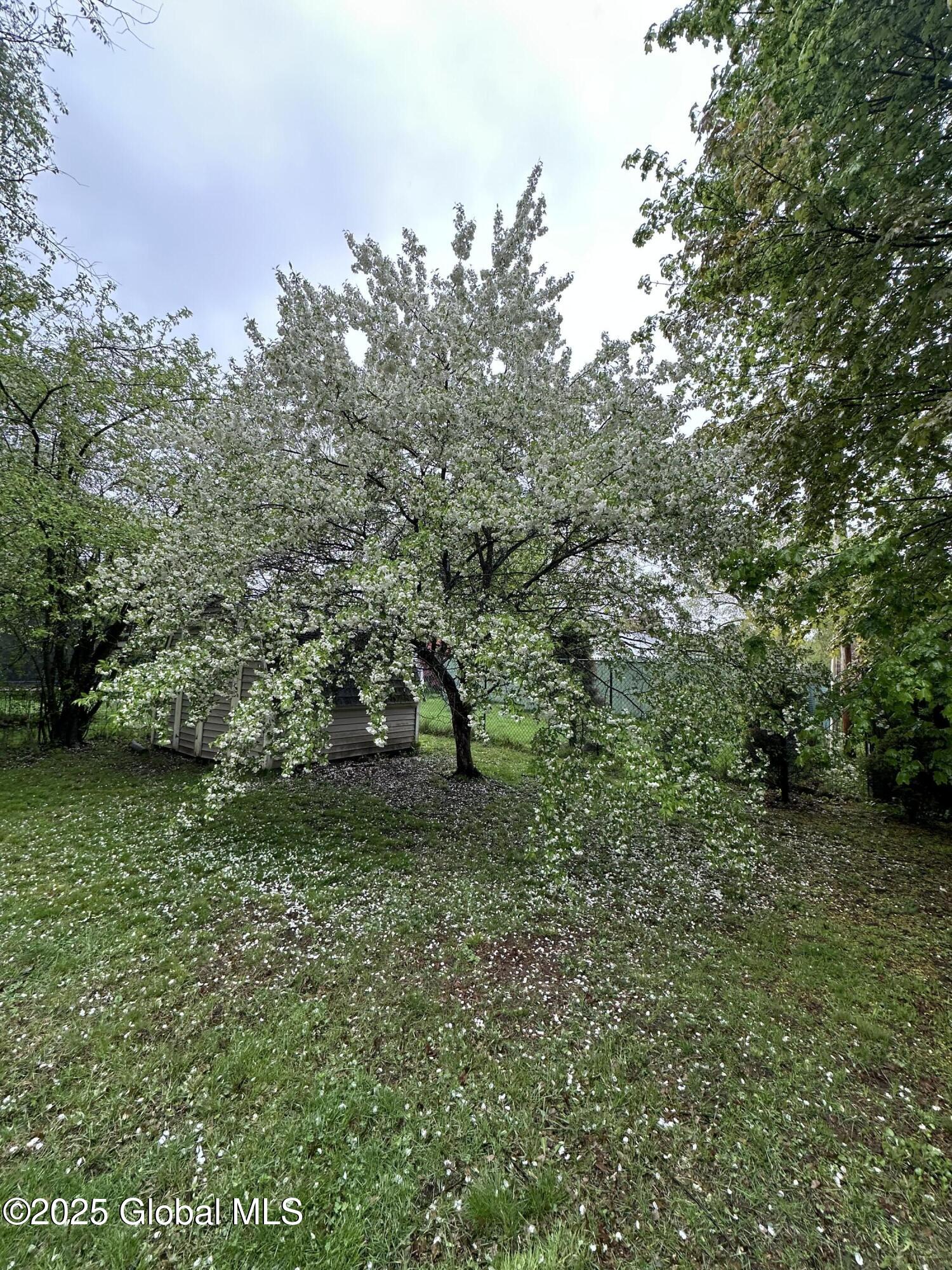 63 Elm Street, Hudson Falls, New York image 36