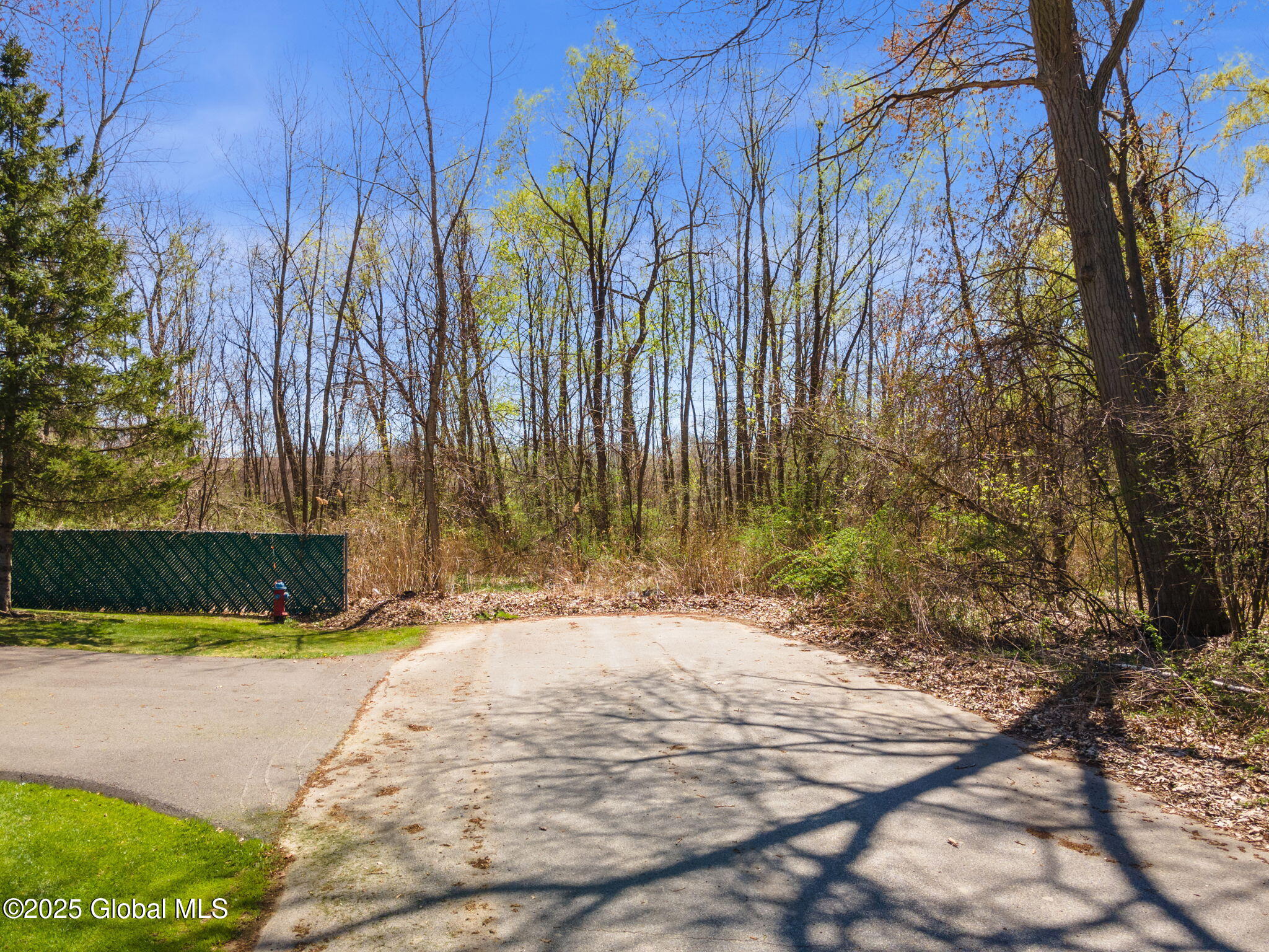 190 Garden Street, Schenectady, New York image 4