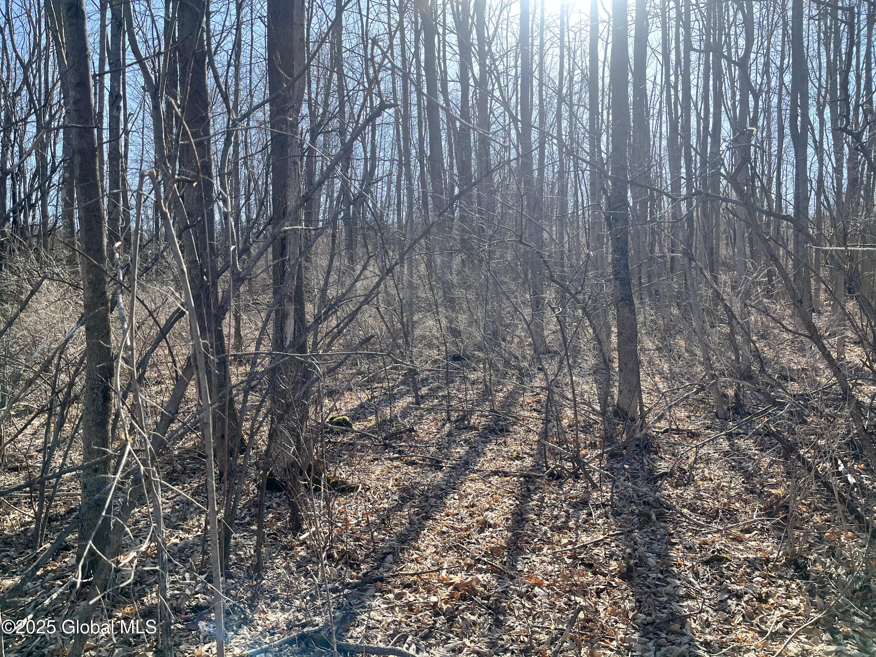 L15.2 Cross Hill Rd, Richmondville, New York image 7