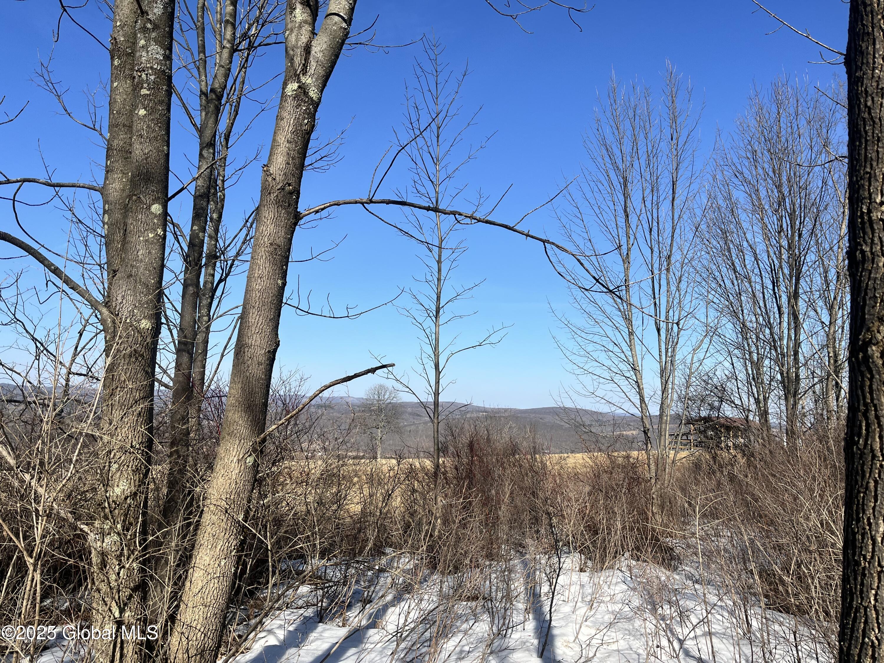 L15.2 Cross Hill Rd, Richmondville, New York image 9