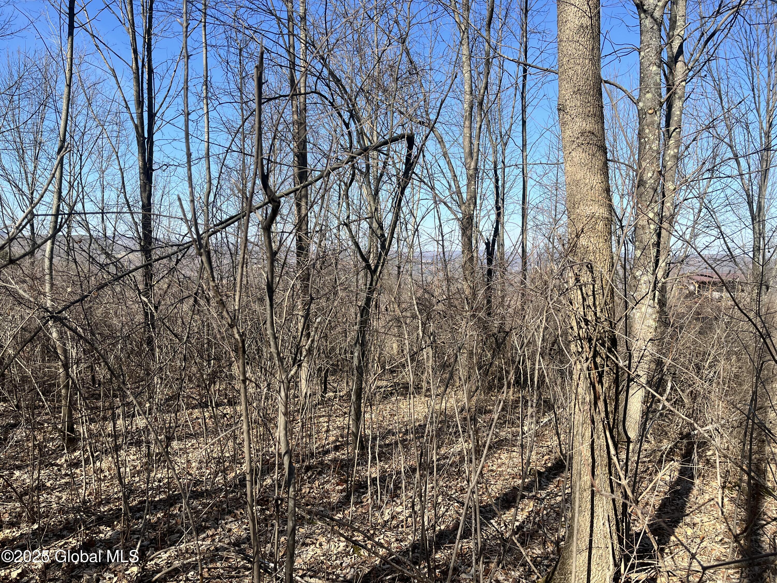 L15.2 Cross Hill Rd, Richmondville, New York image 6