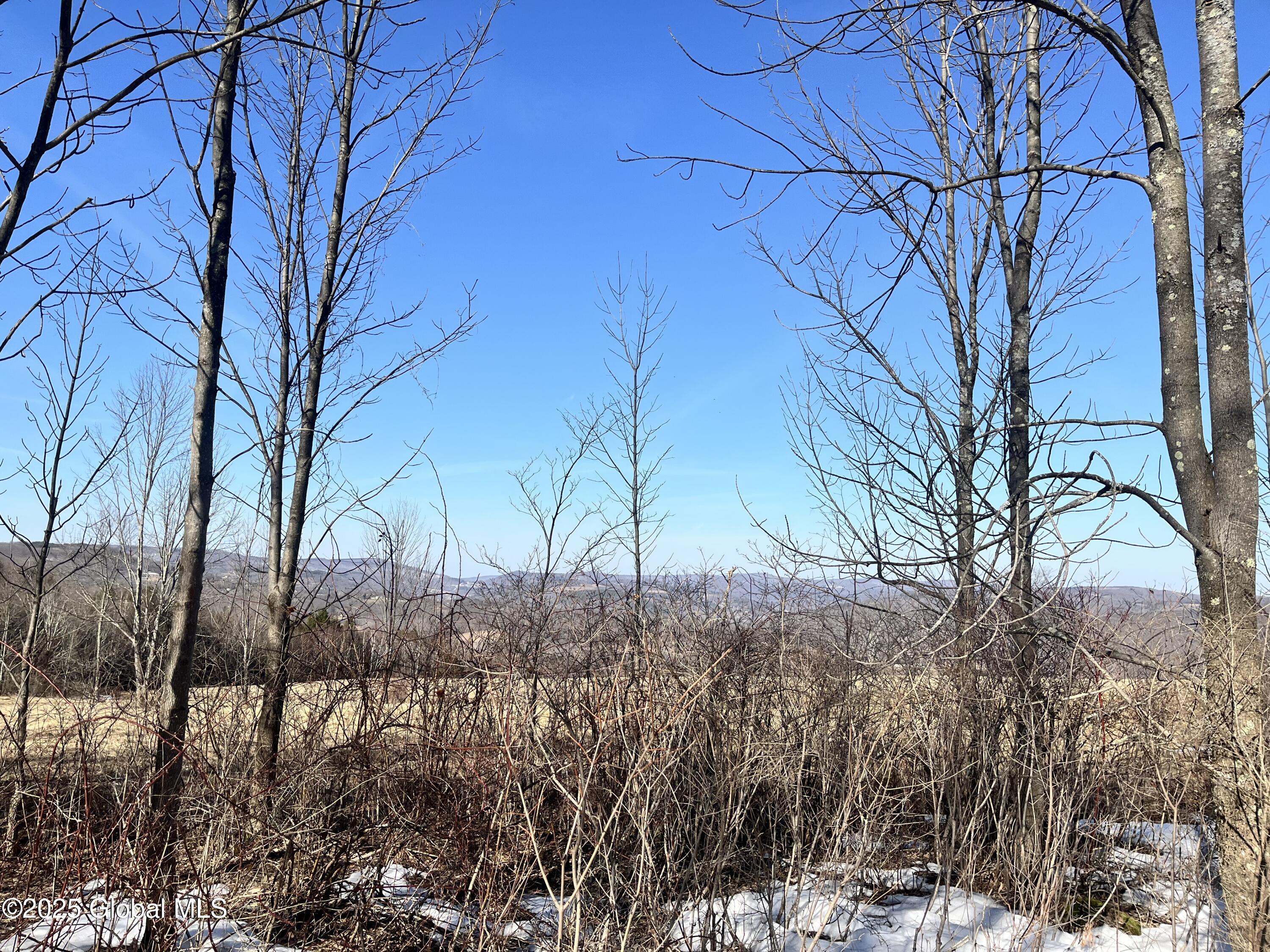 L15.2 Cross Hill Rd, Richmondville, New York image 8