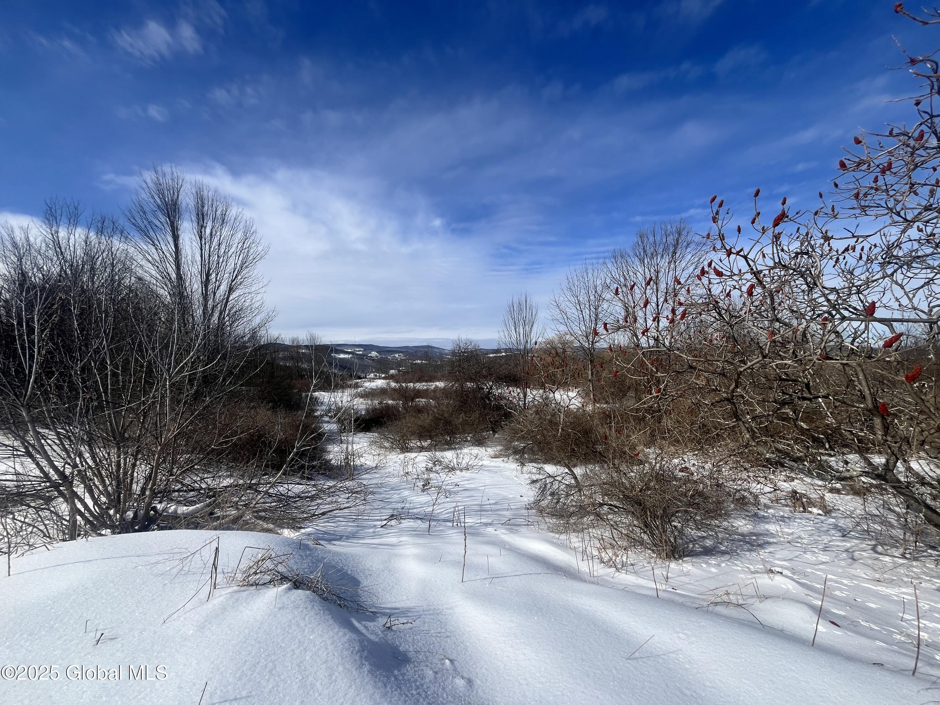 Cross Hill Rd, Richmondville, New York image 1