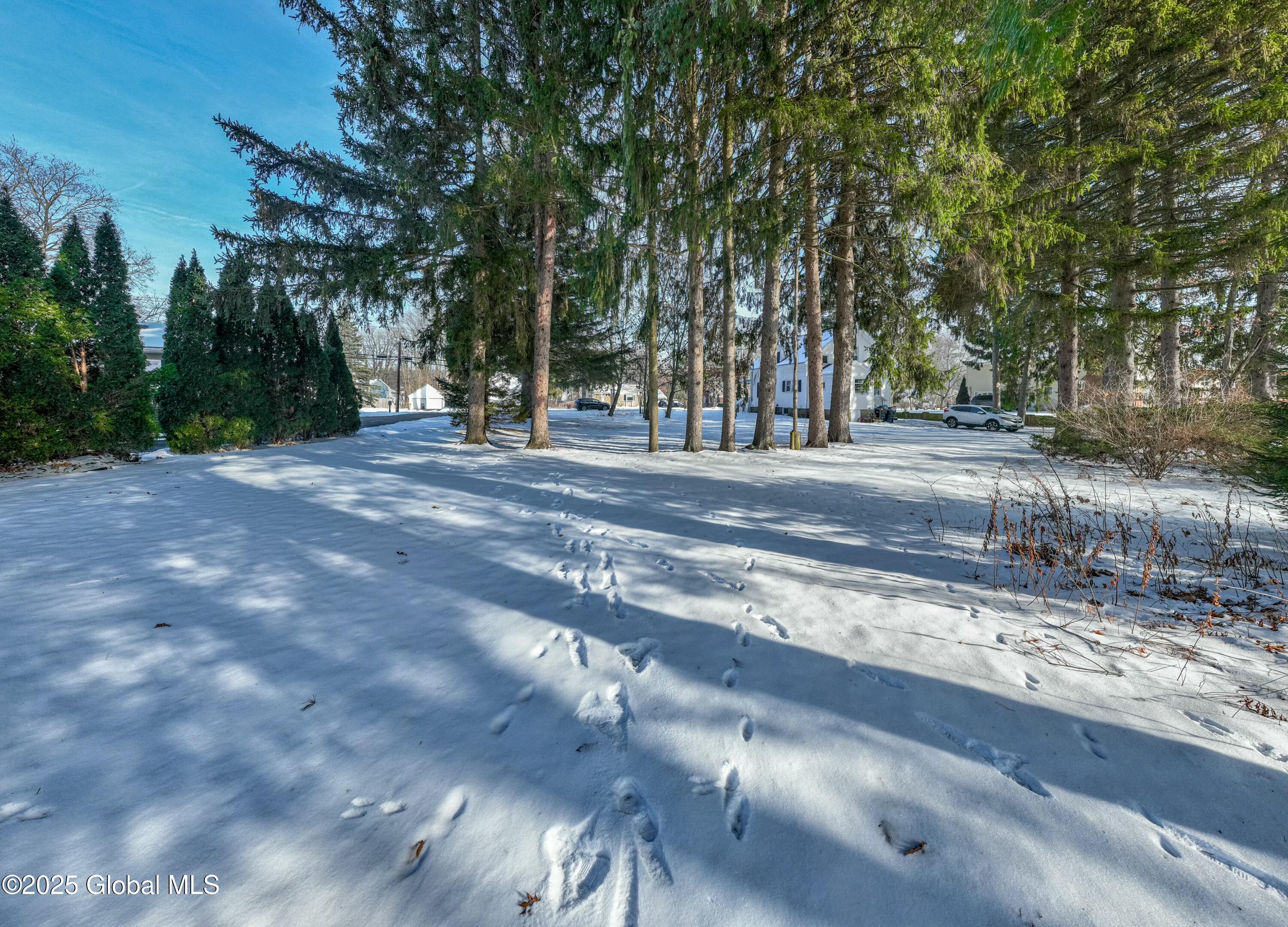 218 Consaul Road, Colonie, New York image 10
