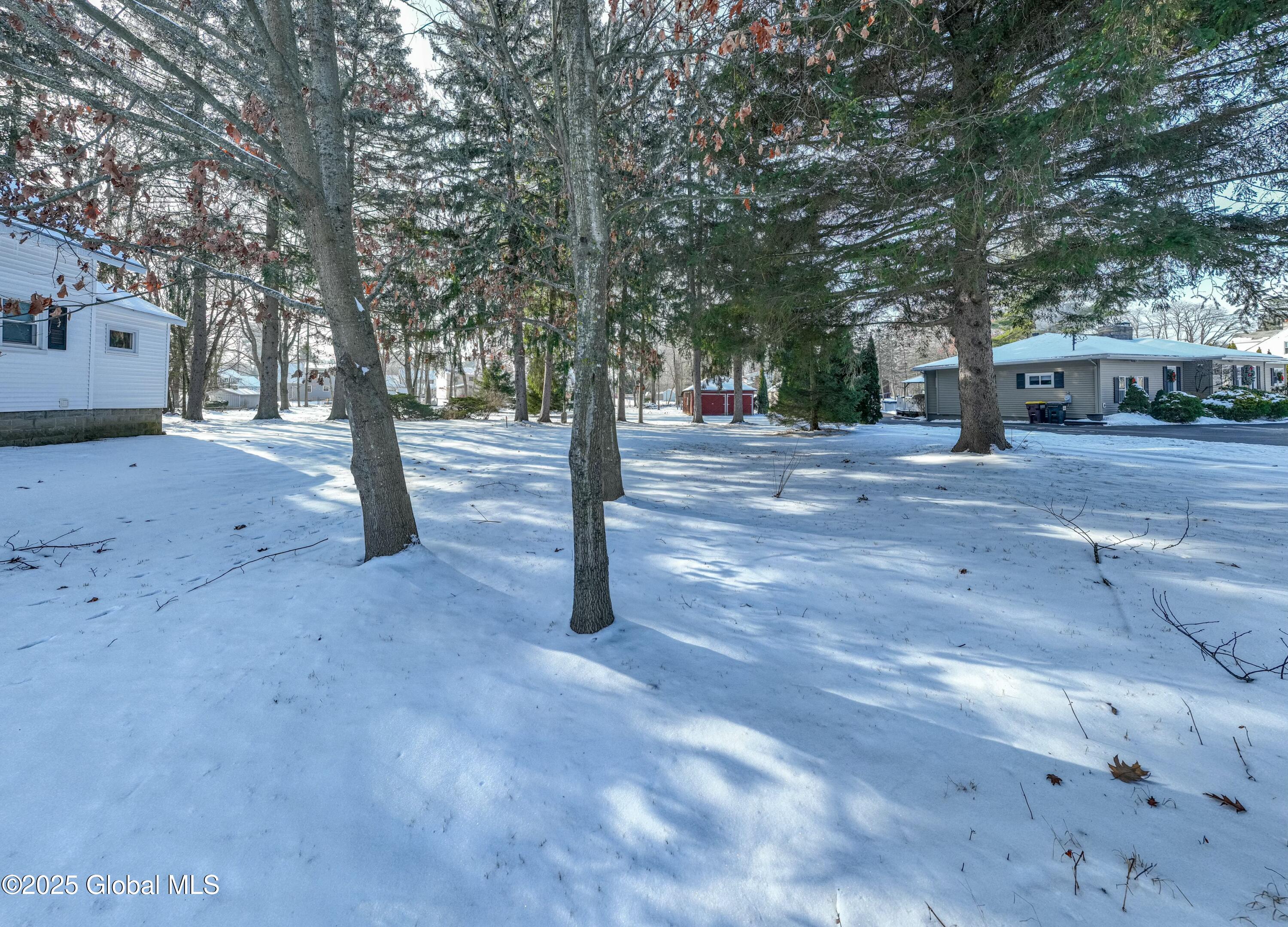 218 Consaul Road, Colonie, New York image 18