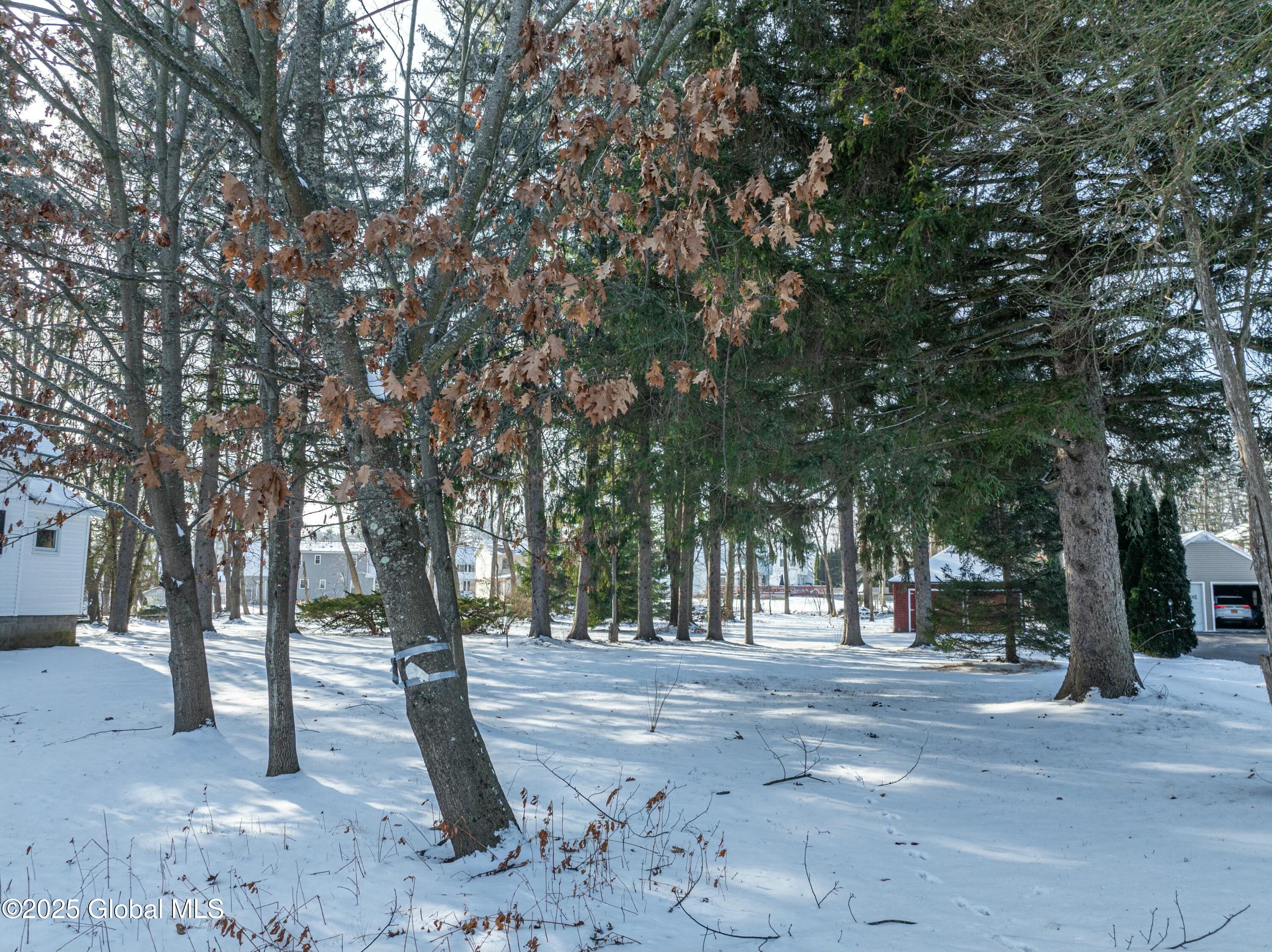218 Consaul Road, Colonie, New York image 20