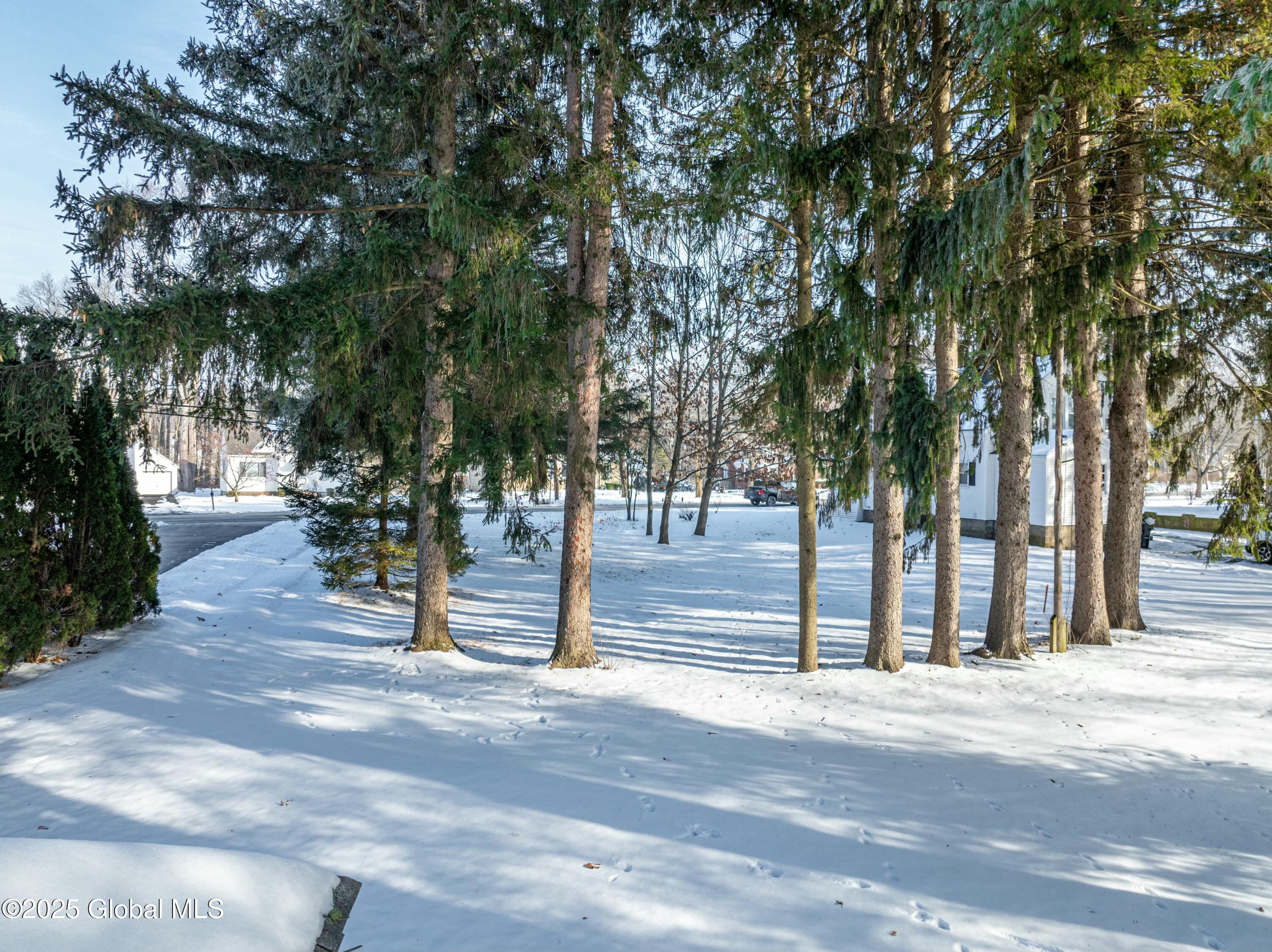 218 Consaul Road, Colonie, New York image 14