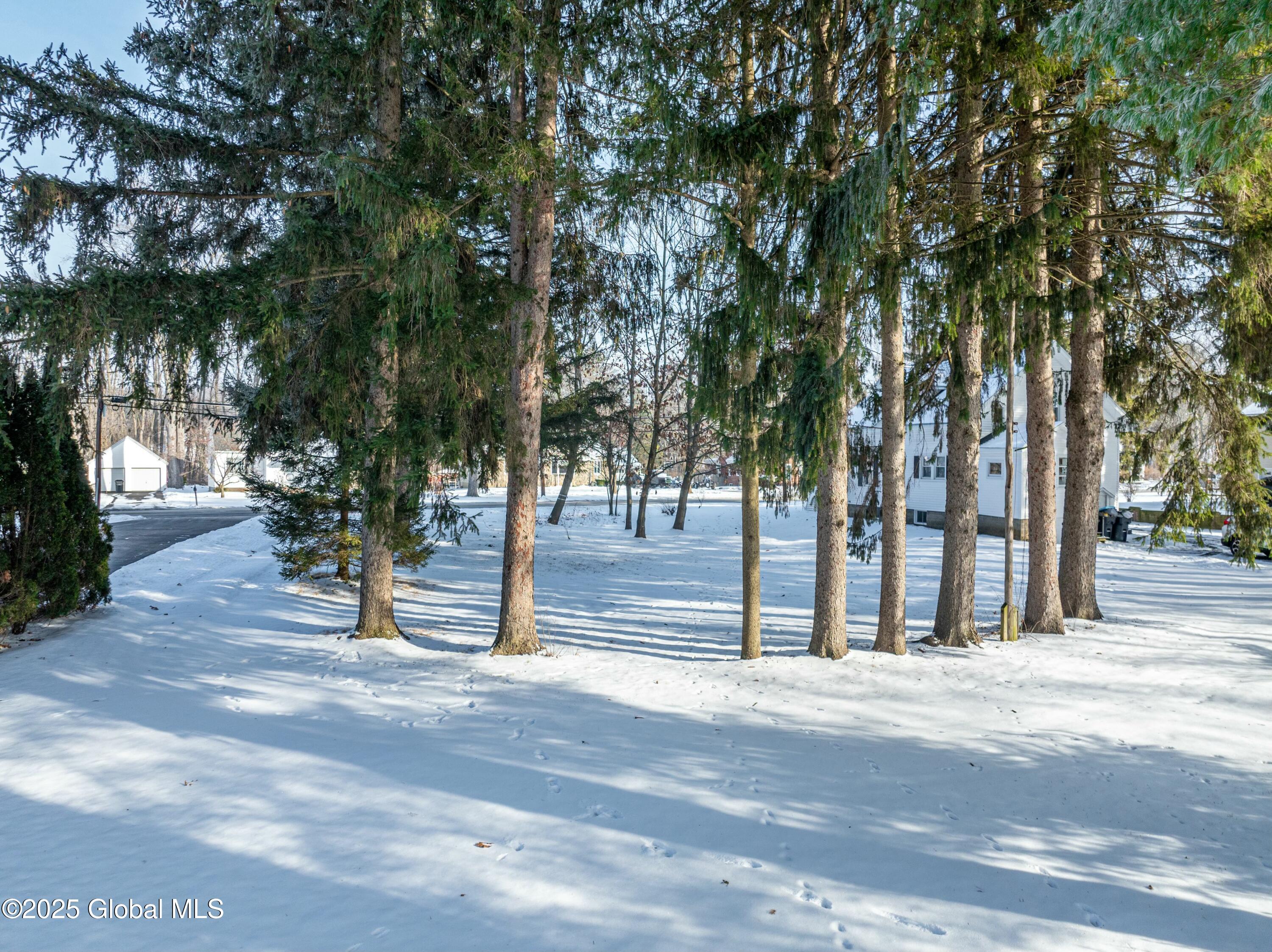 218 Consaul Road, Colonie, New York image 13