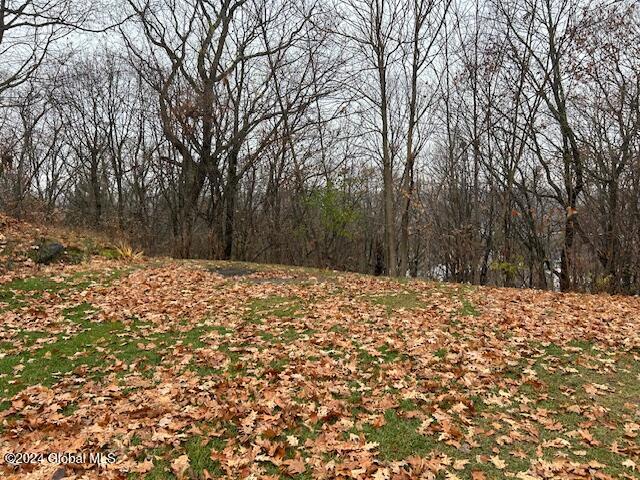 120 Moneta Overlook, Troy, New York image 4