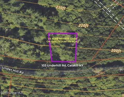 Vacant Land For Sale - 103 Underhill Road<br/> Catskill, NY 12414