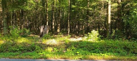 Photo of 395 Cook Road, Essex, NY 12936 (MLS # 202626138)