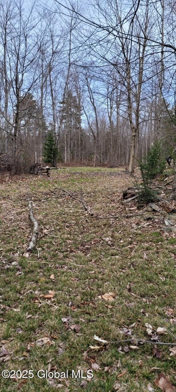 632 Arabia Road, Summit, New York image 13
