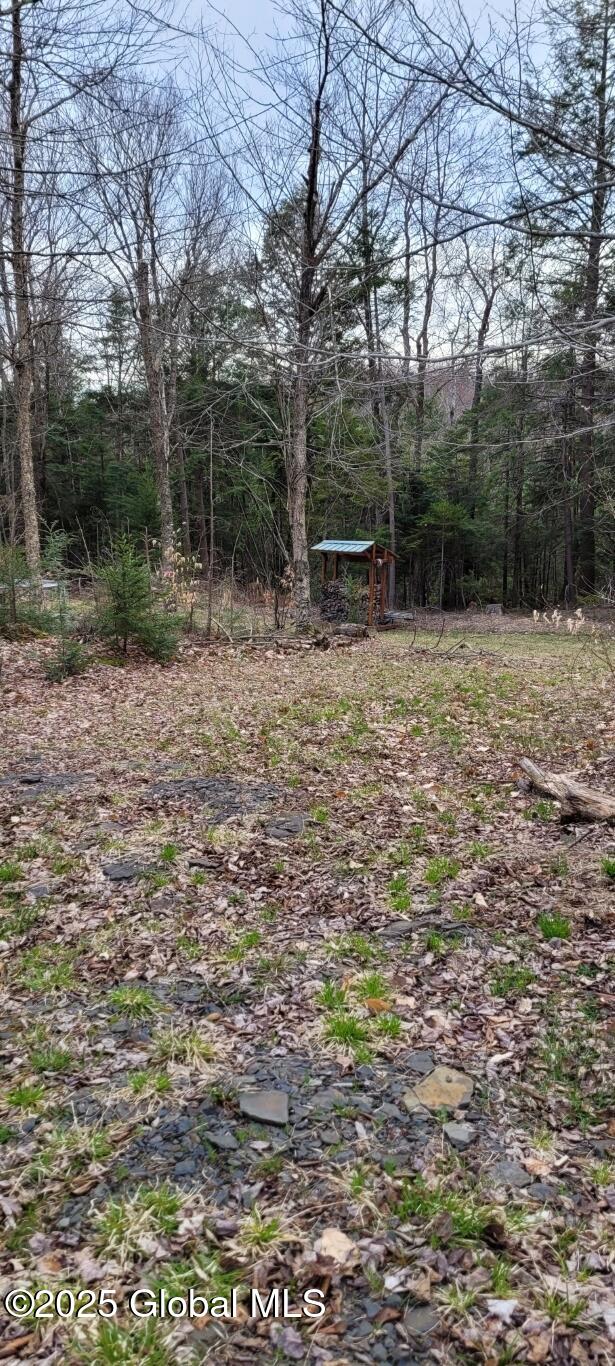 632 Arabia Road, Summit, New York image 16