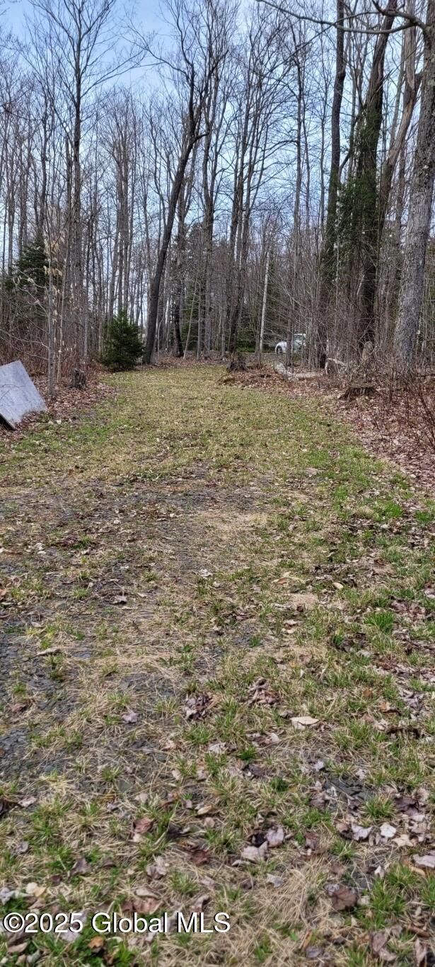 632 Arabia Road, Summit, New York image 17