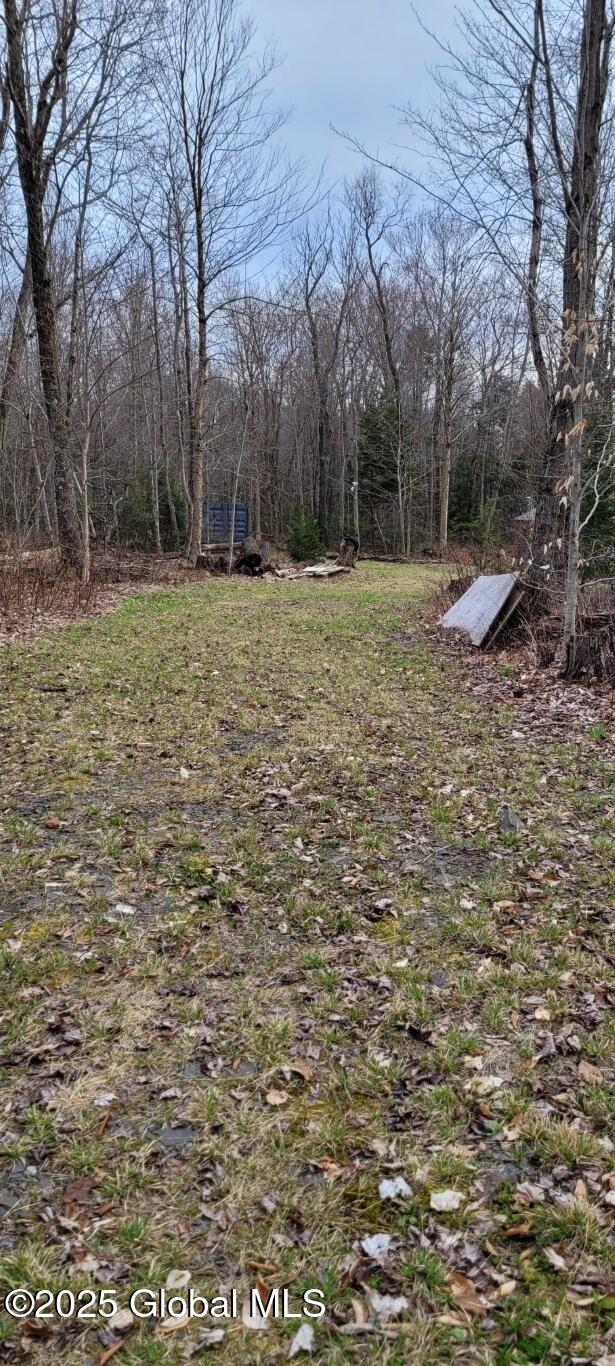 632 Arabia Road, Summit, New York image 18