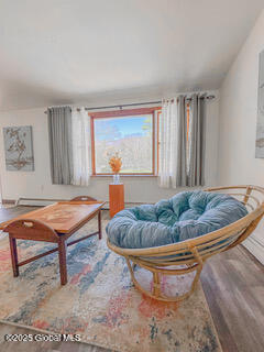 32 Valk Road, Saugerties, New York image 19