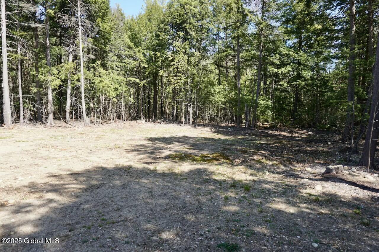 47 Locust Ridge Drive, Corinth, New York image 37
