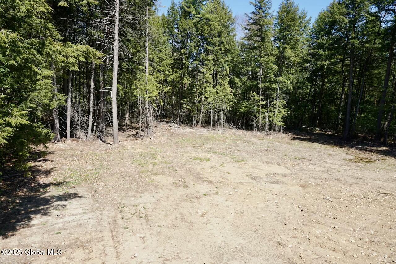 47 Locust Ridge Drive, Corinth, New York image 31