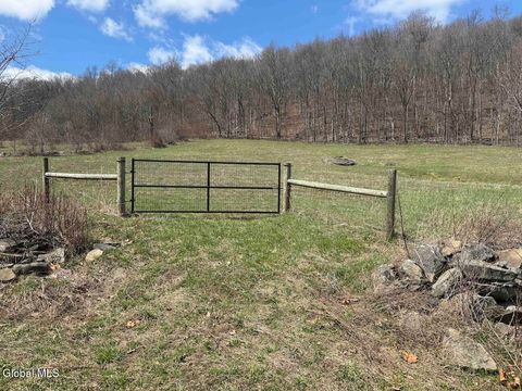 Photo of L25 Brand Hollow Road, Durham, NY 12422 (MLS # 202615950)