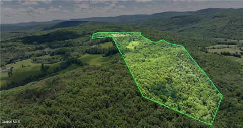 Vacant Land For Sale - L16 Bush Street<br/> Cobleskill, NY 12043