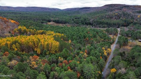 Vacant Land For Sale - 359 Creek Road<br/> Northville, NY 12134