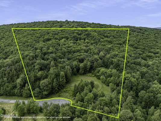 2 TREES LN, WINDHAM, NY 12496 - Image d3ebe916e8d7e421e49f1fc8af25b7f6/2843746101