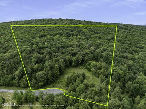 Vacant Land For Sale - L28.2 Deer Lane<br/> Prattsville, NY 12452