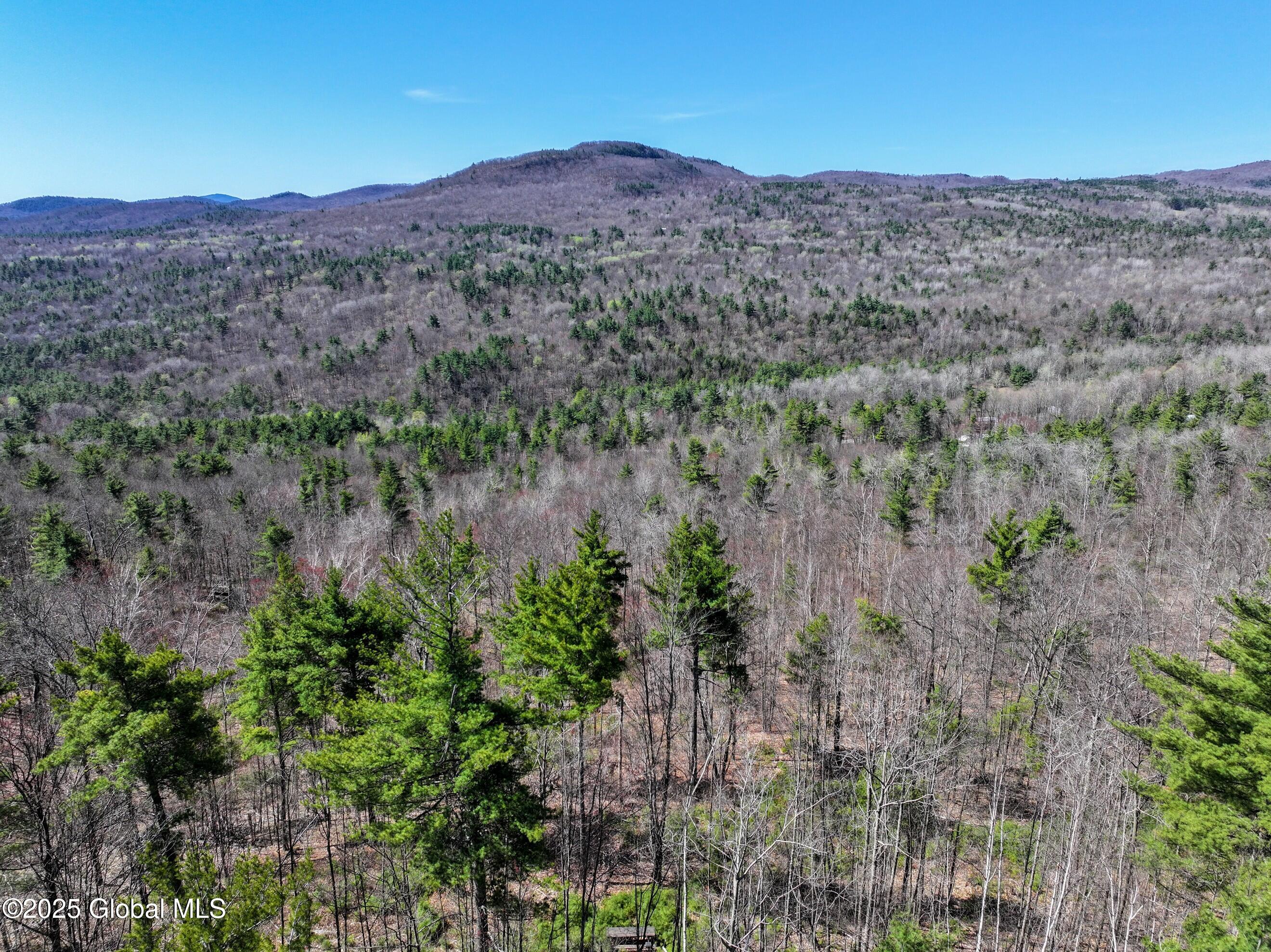 392 W Hague Road, Hague, New York image 8