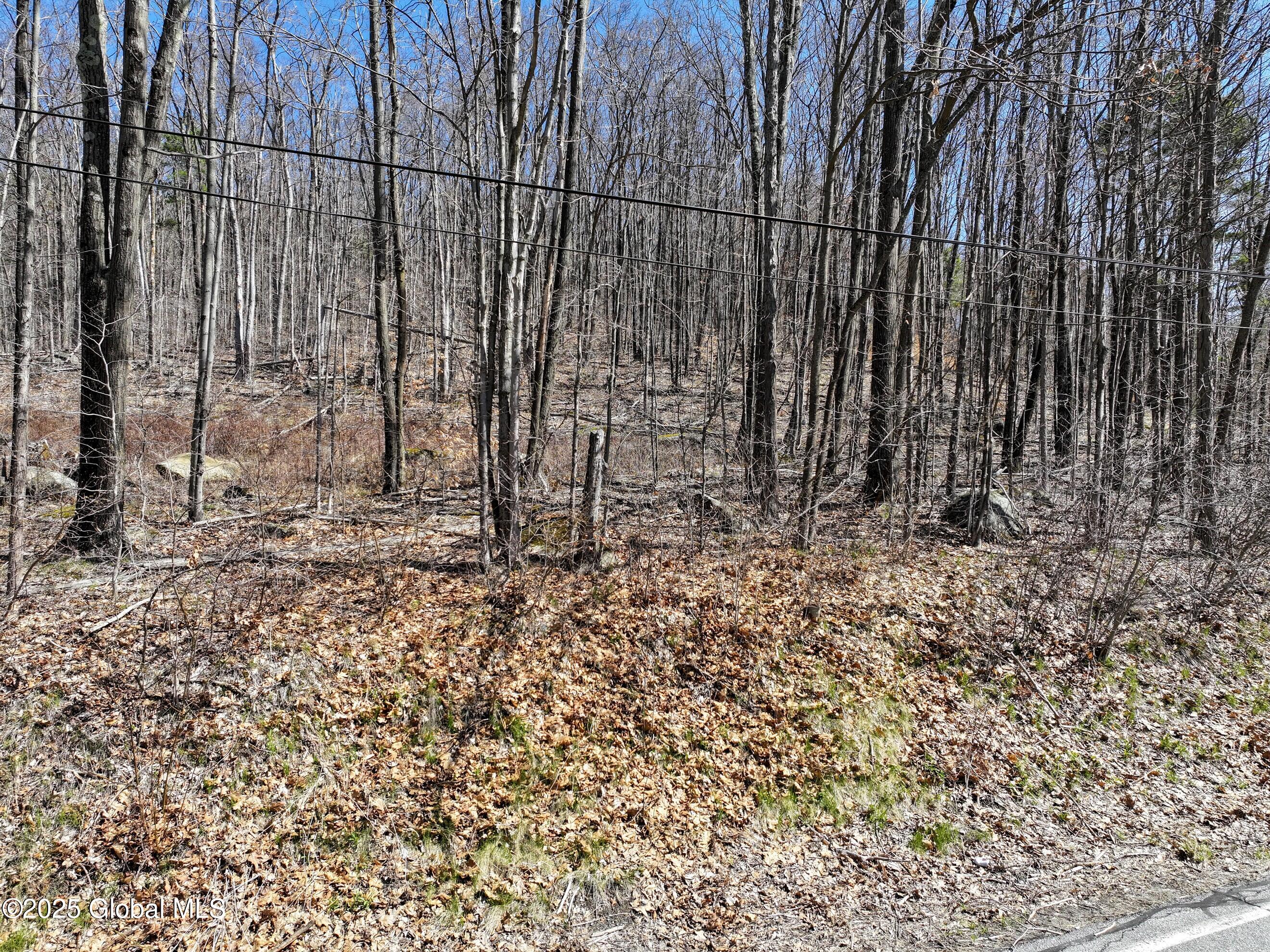 392 W Hague Road, Hague, New York image 13
