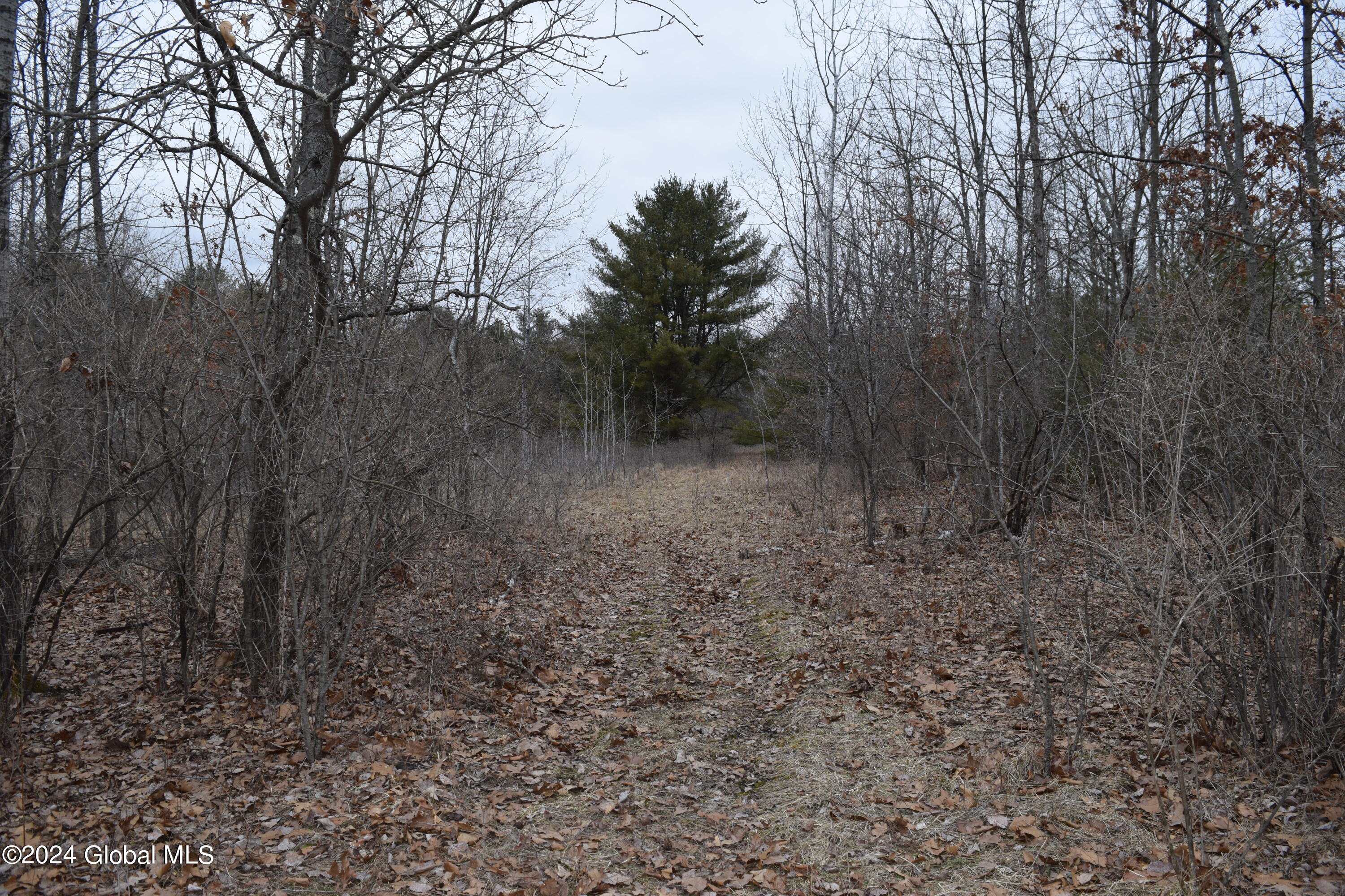 L 32.01 Ballston Lake Road, Ballston Lake, New York image 8