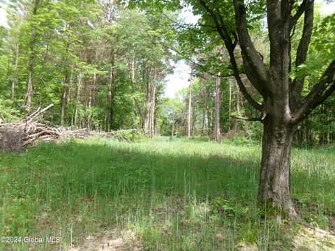 Vacant Land For Sale - 637 Chestnut Street<br/> Sharon Springs, NY 13459