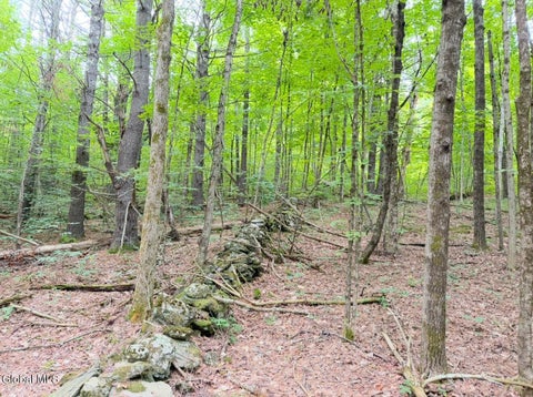 Vacant Land For Sale - L4 Middle Rd/e Off Rd<br/> Salem, NY 12865