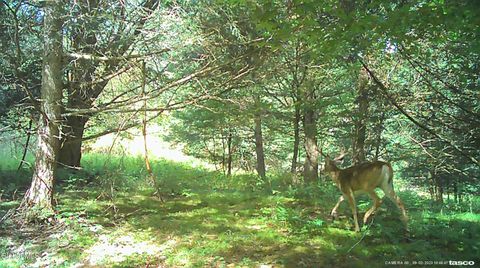 Vacant Land For Sale - L5.12 N Harpersfield Road<br/> Jefferson, NY 12093